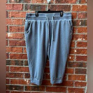 Livi Active Womens 14/16 Blue Gray Knit Active Workout Cropped Joggers